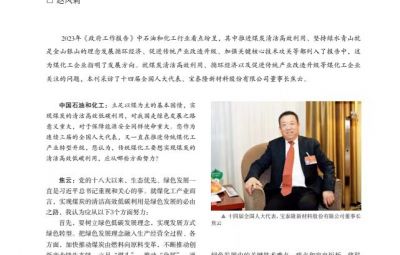 打破傳統(tǒng)走綠色轉(zhuǎn)型之路——訪十四屆全國人大代表、寶泰隆新材料股份有限公司董事長焦云